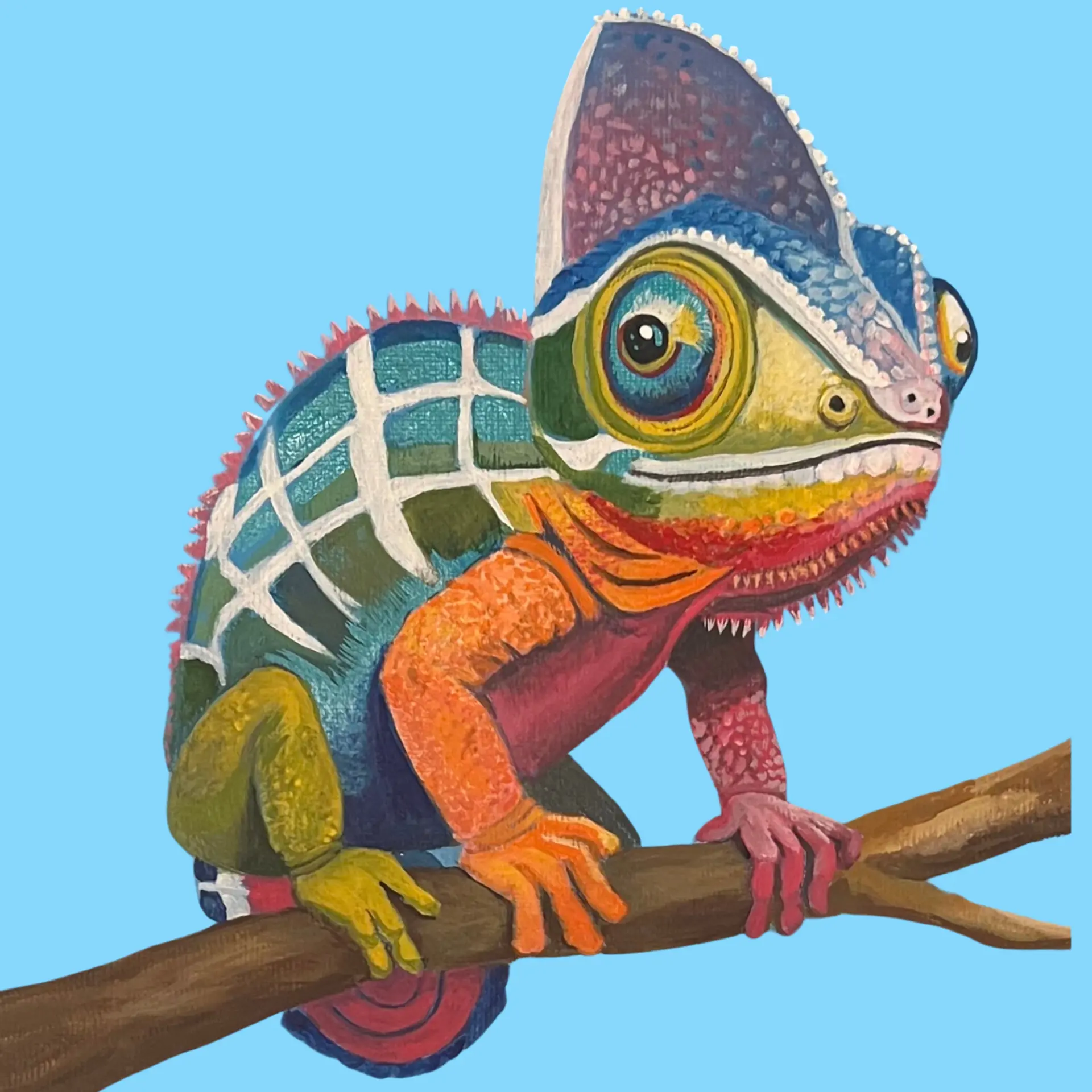 Painted panther chameleon on a branch against a sky blue ground