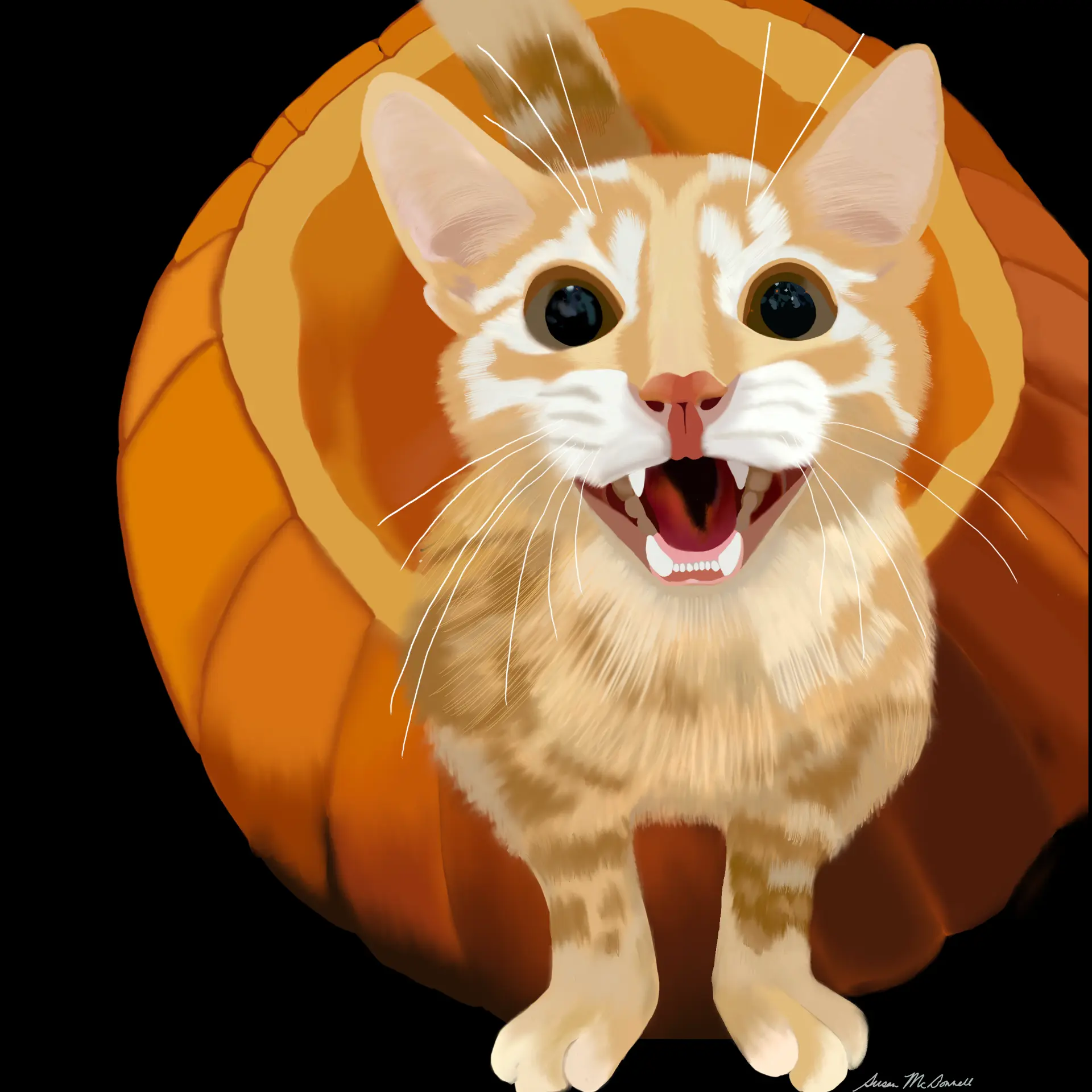 Happy orange tabby kitten peeking out of a carved pumpkin